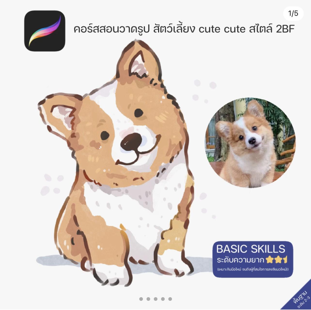 คอร์สสอนวาดรูปสัตว์เลี้ยง CUTE CUTE สไตล์ 2BF