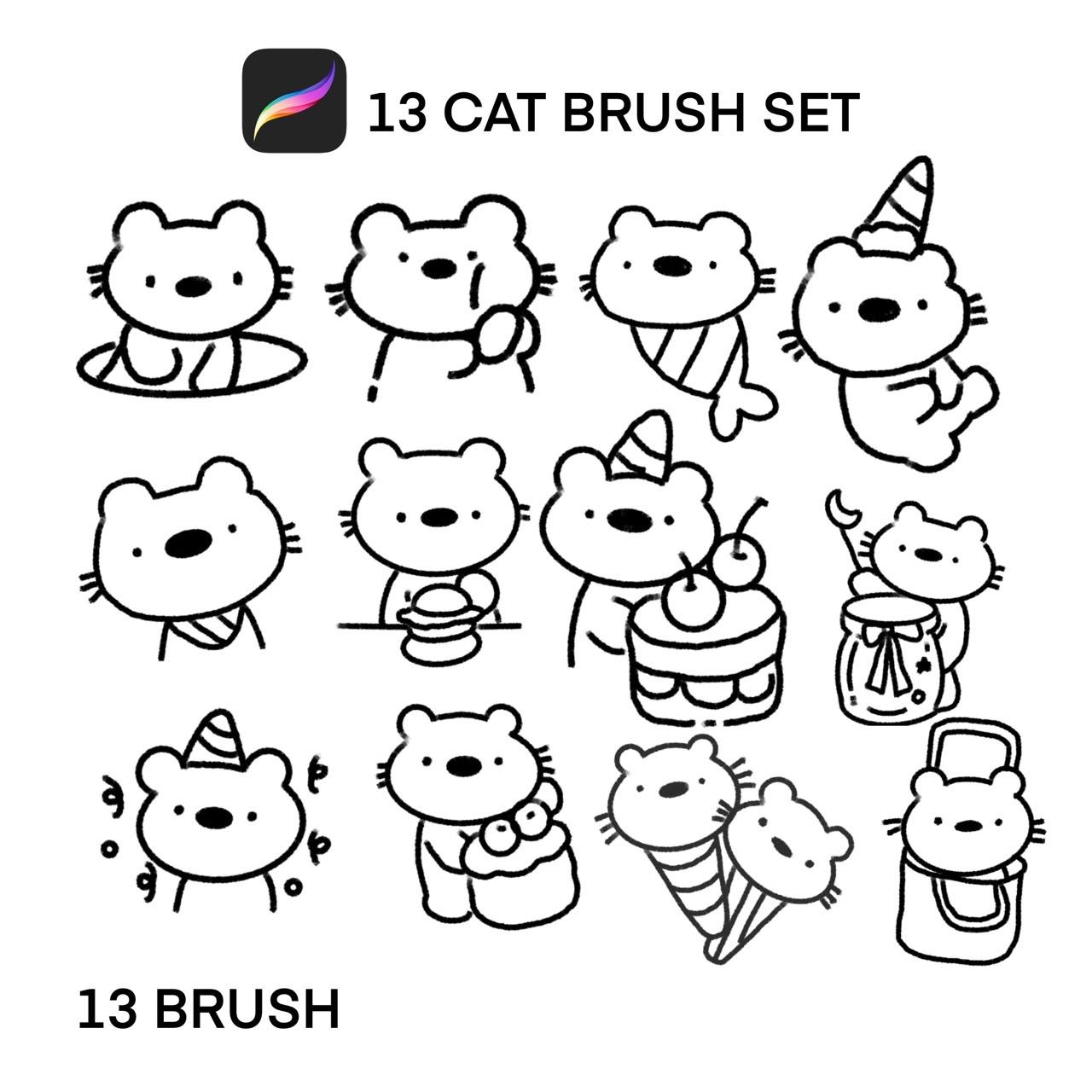 13 CAT BRUSH SET